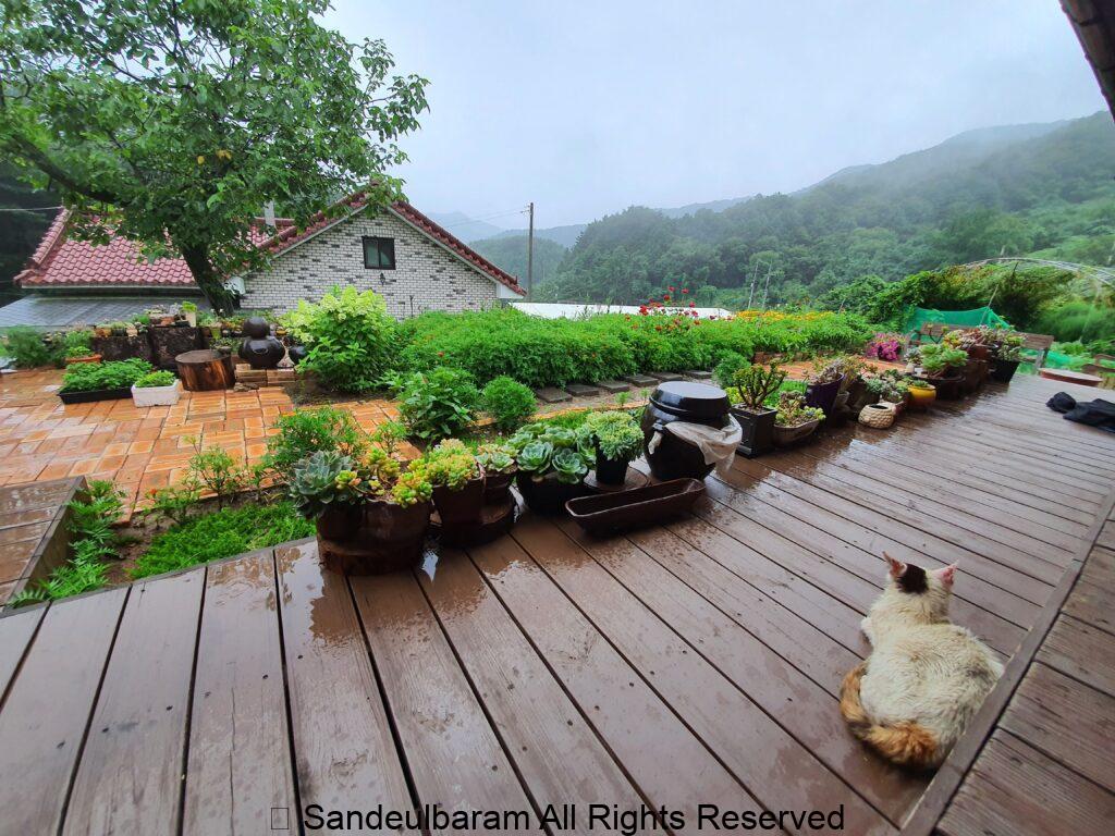 처음 만났던 아이