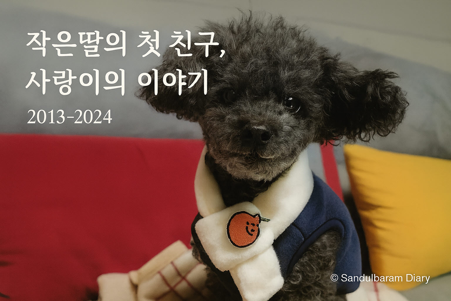 소파 위에 앉아 있는 작은 검은색 푸들 ‘사랑이’가 파란 외투와 흰색 목도리를 착용한 채 카메라를 정면으로 바라보고 있다. 이미지 왼쪽에는 ‘작은딸의 첫 친구, 사랑이의 이야기 2013–2024’라는 글귀가 적혀 있으며, 오른쪽 아래에는 © Sandeulbaram Diary 표시가 들어 있다.”