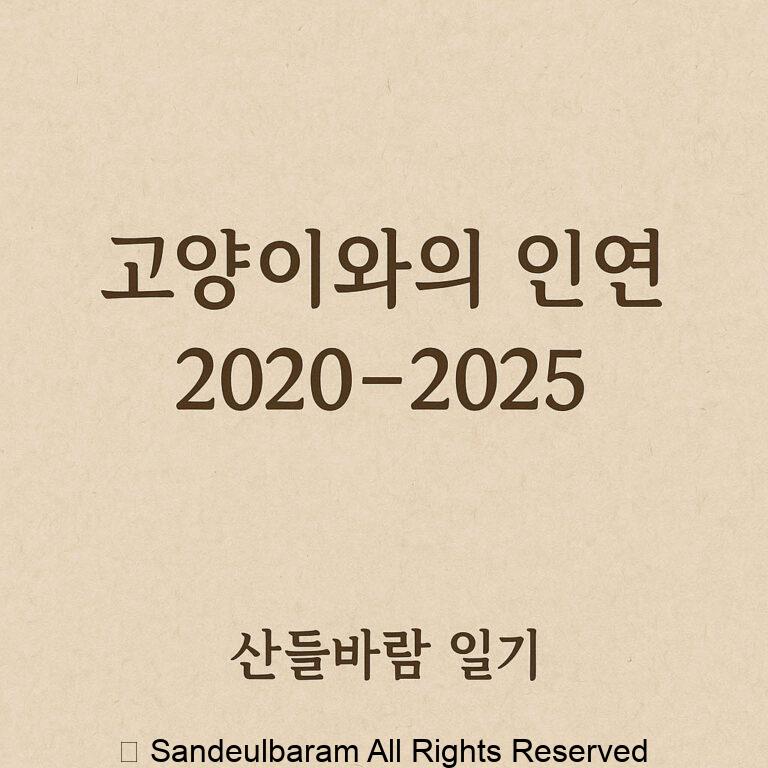 🌿 고양이들과의 인연, 2020년 여름부터 지금까지