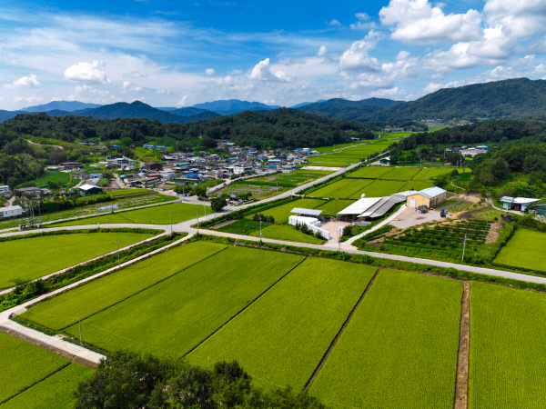 경지정리가 잘 된 농촌의 농사 풍경